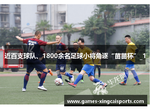 近百支球队、1800余名足球小将角逐“苗苗杯”_1